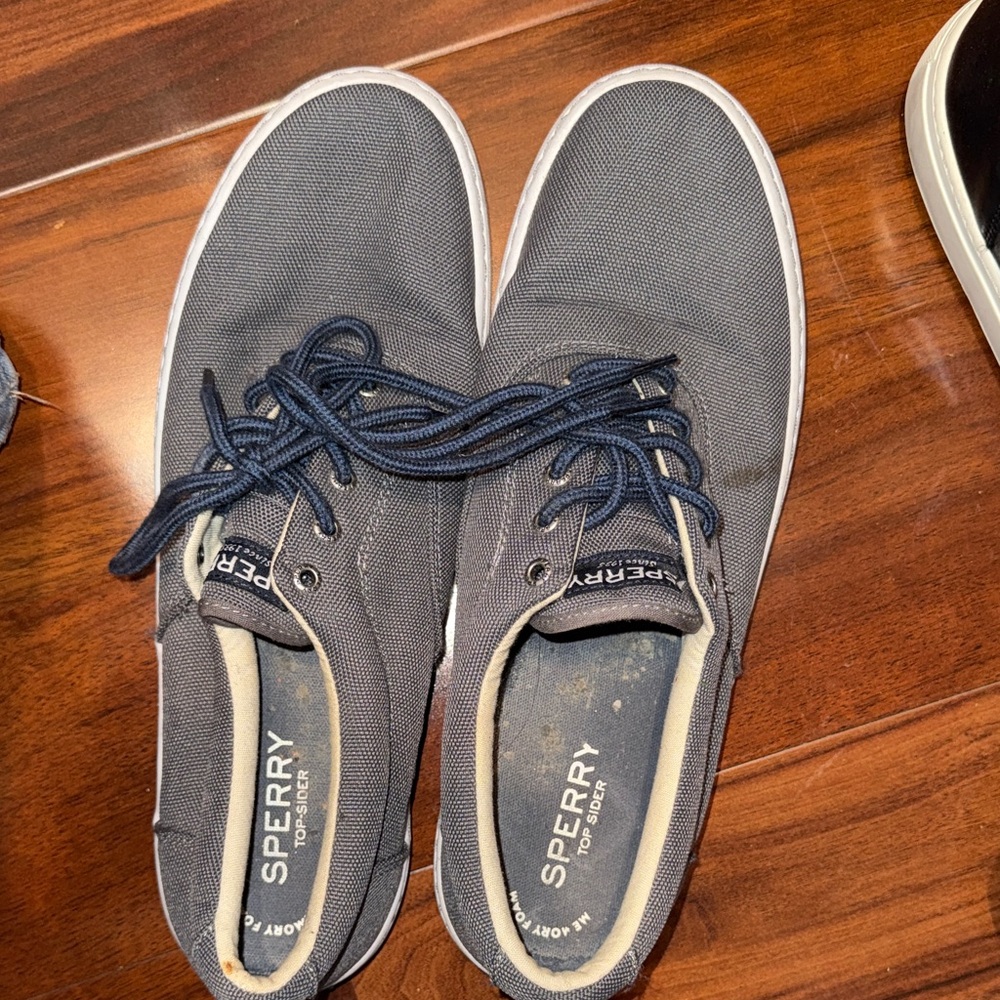 Sperry Men's Dark Navy Canvas Boat Shoes